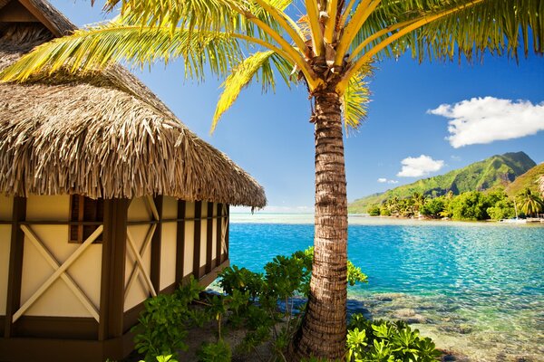 Tropischer Urlaub. Eine Hütte am Ufer. Sommerurlaub am Strand