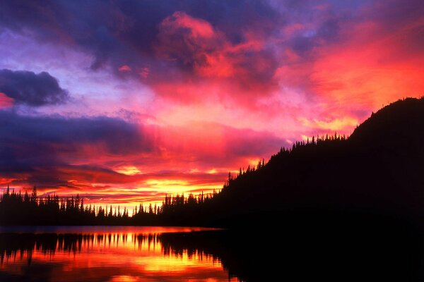 Silhouettes of trees and sky in the reflection of water