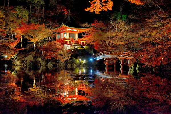 Прекрасный японский парк с сакурой