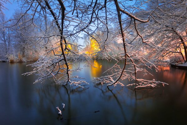 Lago in inverno a Brooklyn, New York