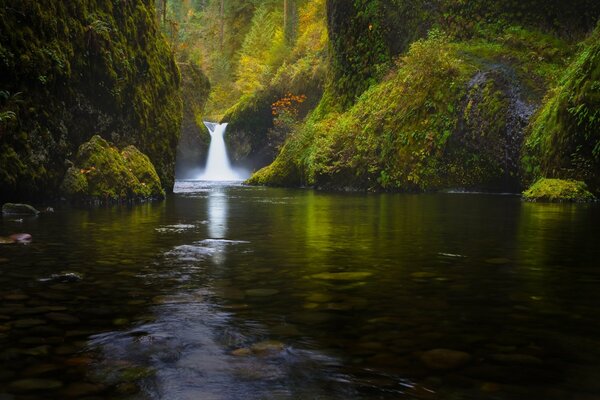 Wasserfall im Wald unter grünen Bäumen. zu