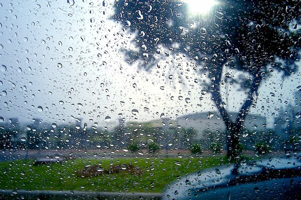 Gotas de lluvia en el vidrio