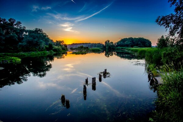 Stagno al tramonto tra fogliame verde lussureggiante