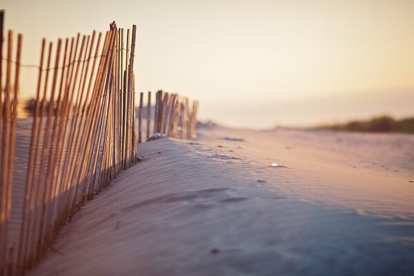 Dunes de sable et clôture en bois