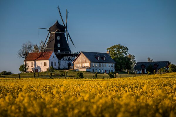 Beau moulin en Suède dans un champ