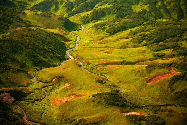 Valle de hierba, vegetación, cauce y musgo