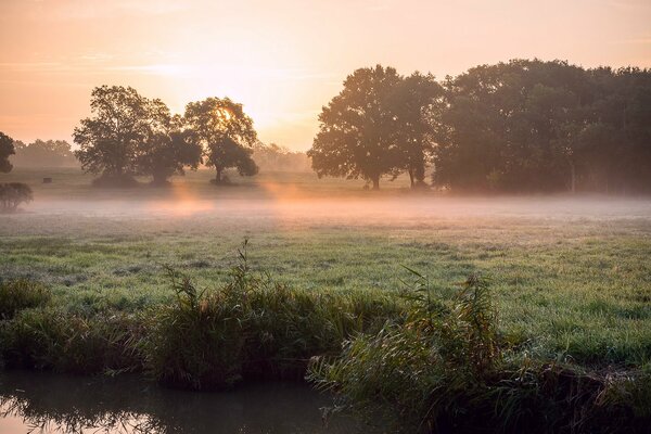 Les rayons du soleil se frayant un chemin à travers le brouillard sur la rive de la rivière