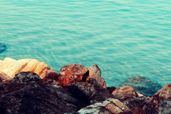 Beautiful Stones on the seashore