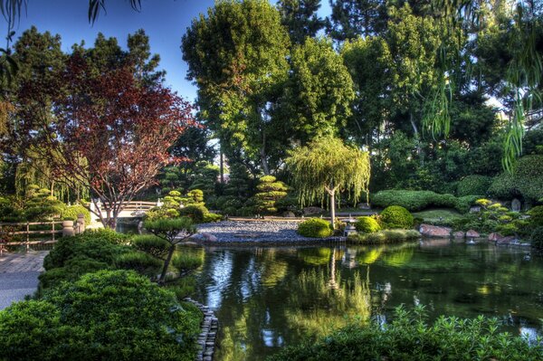 Hanging trees over a pond and a bridge