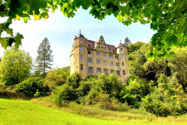 An ancient castle surrounded by greenery of trees