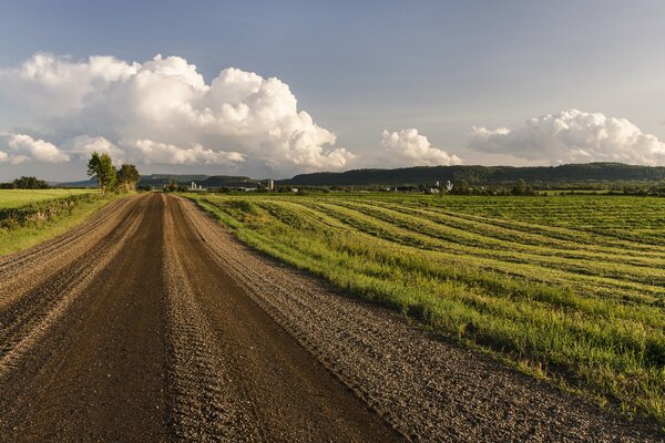 Landwirtschaftliche Felder entlang der Straße