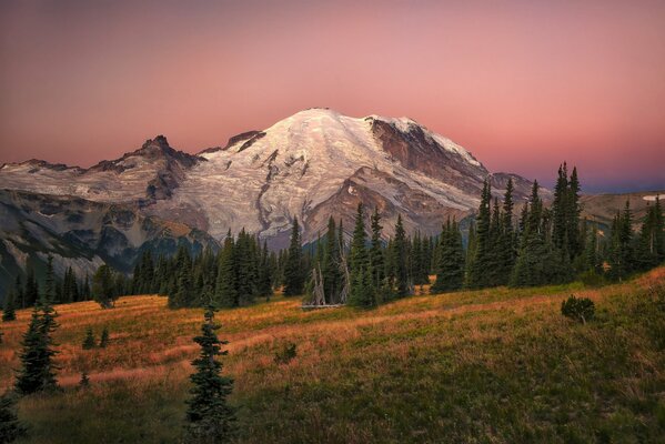 Snow on the mountain, fir trees in autumn, slope in the evening