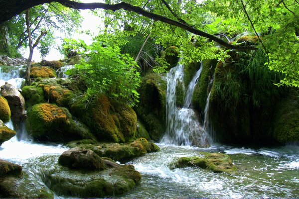 Lagos de Plitvice en Croacia