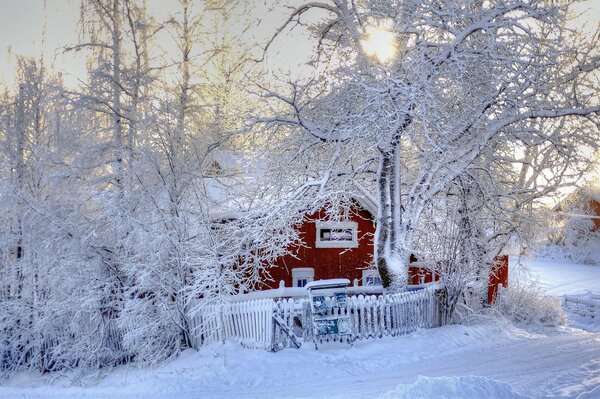 Dom w zimowym lesie zdjęcia