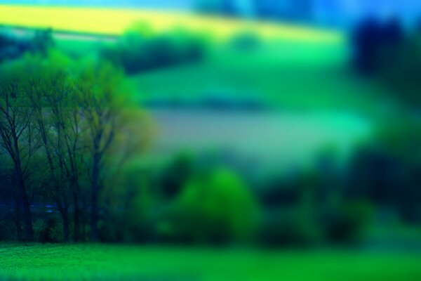 Collines brumeuses en été