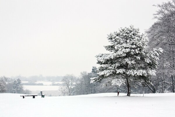 Banc dans un parc enneigé d hiver