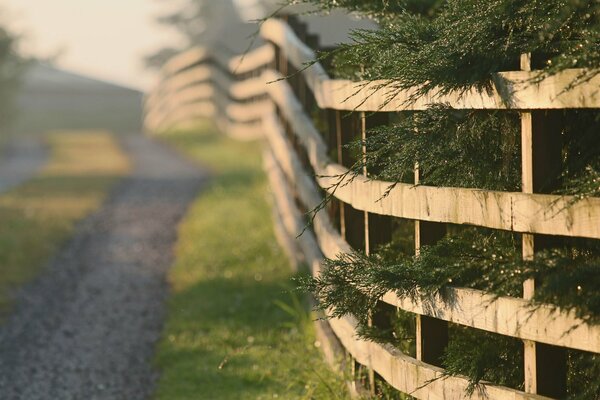 Morning road running along the fence