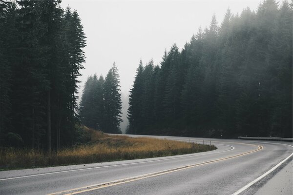 Straße im Nebel über dem Wald