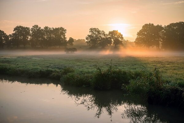 Foggy summer morning on the river bank