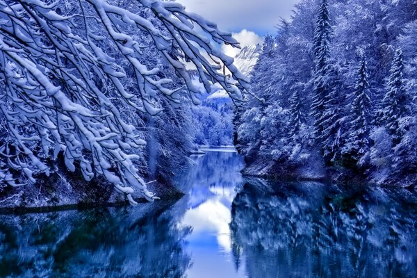 La natura si addormenta in un abito invernale