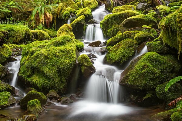 A gorgeous waterfall among rocks and moss