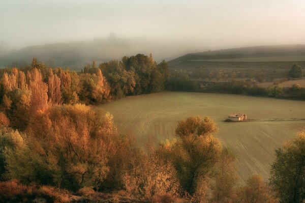 Bella La cabaña annegata nella foschia autunnale