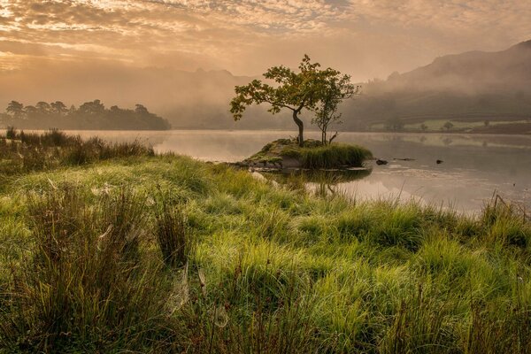 Nebbia che scende al mattino sul lago