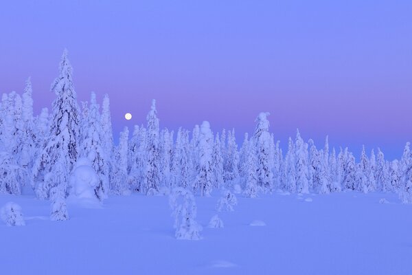 Nocny zimowy krajobraz w Finlandii