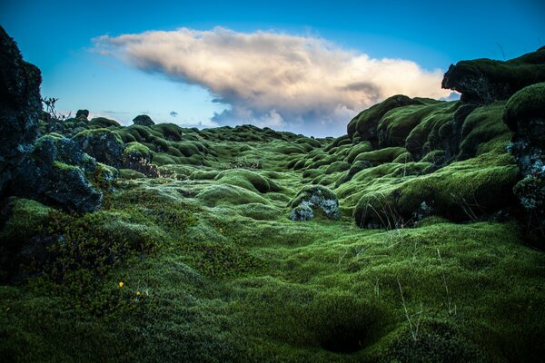 Fotografia di verdi colline in Irlanda