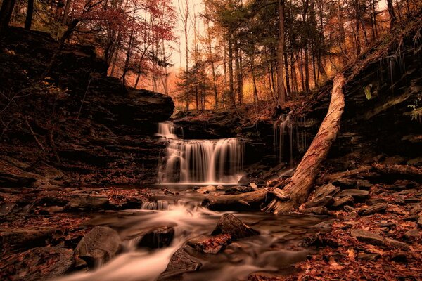 Kleiner Wasserfall im Herbst im Wald