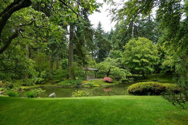 Gazebo surrounded by green forest in Canada