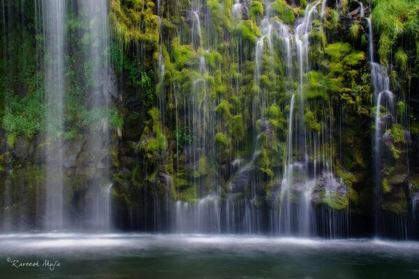 Cascade sur le lac dans la jungle