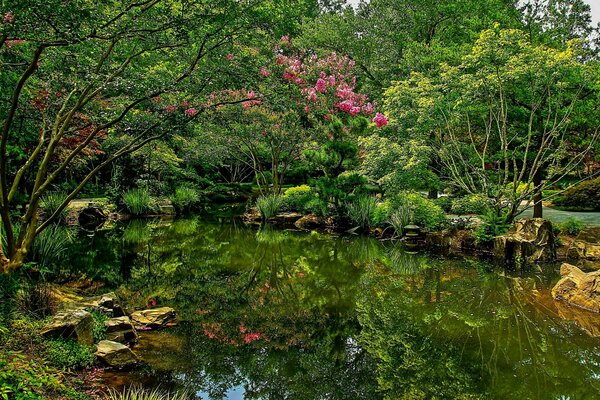 USA Park Pond Gibbs giardini cespugli natura