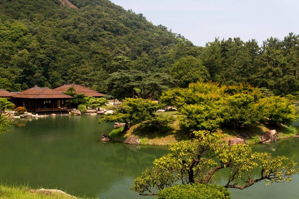 Japanese park with trees and gazebos