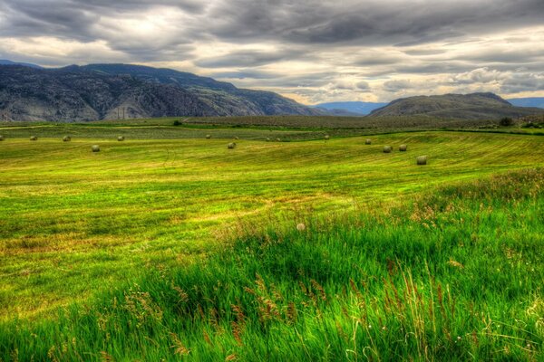 Nature, champs, montagnes au Canada. litre