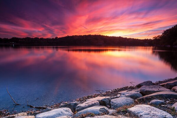 Aube pourpre sur les rives d un lac tranquille et isolé