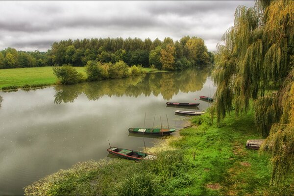 Trees on the riverbank under a gloomy sky