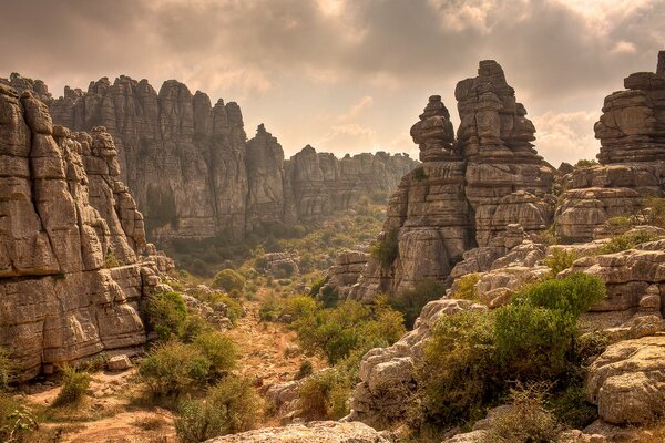 Paesaggio roccioso con arbusti verdi