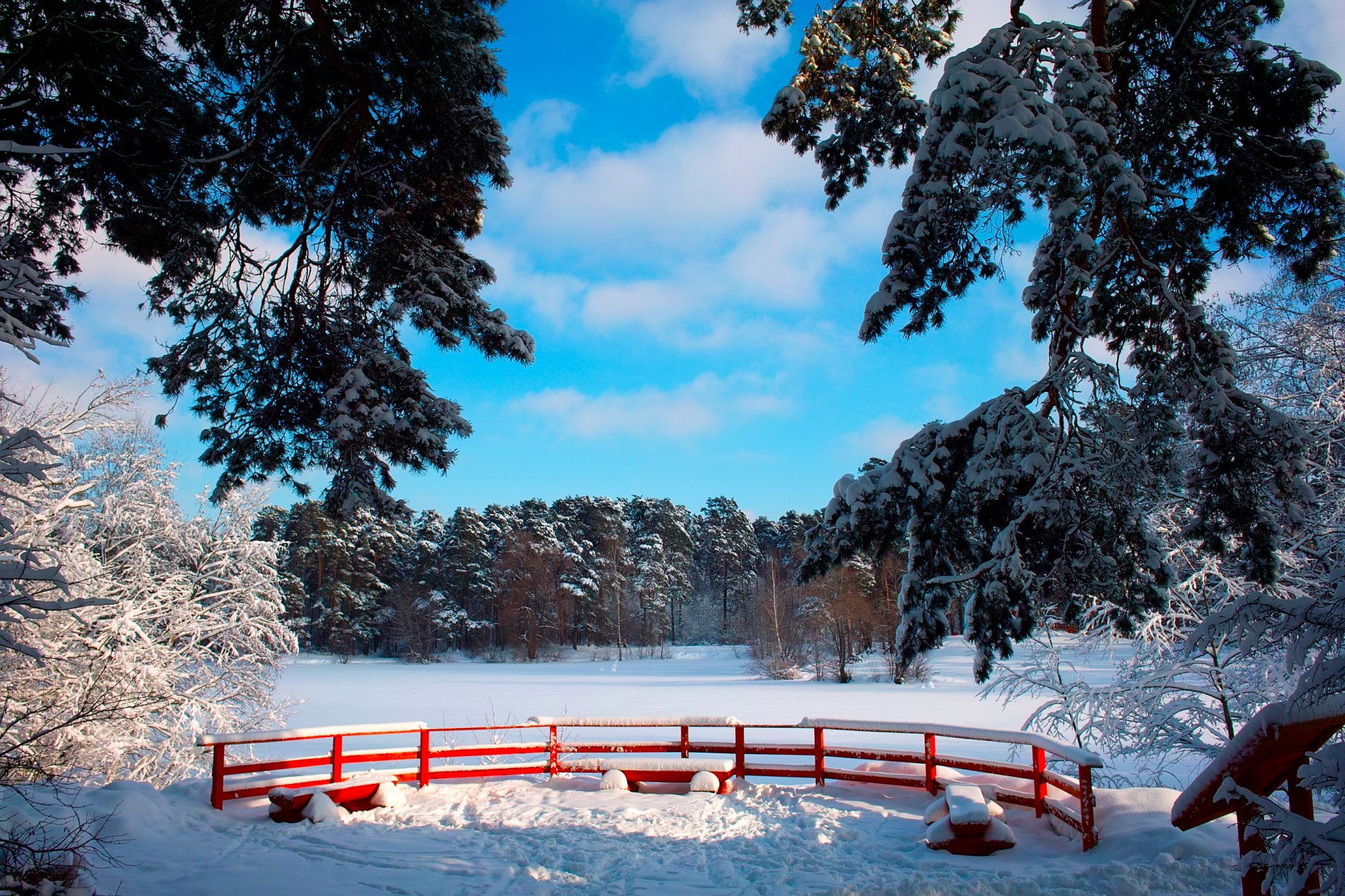 winter snow park tree branches benches sky sun