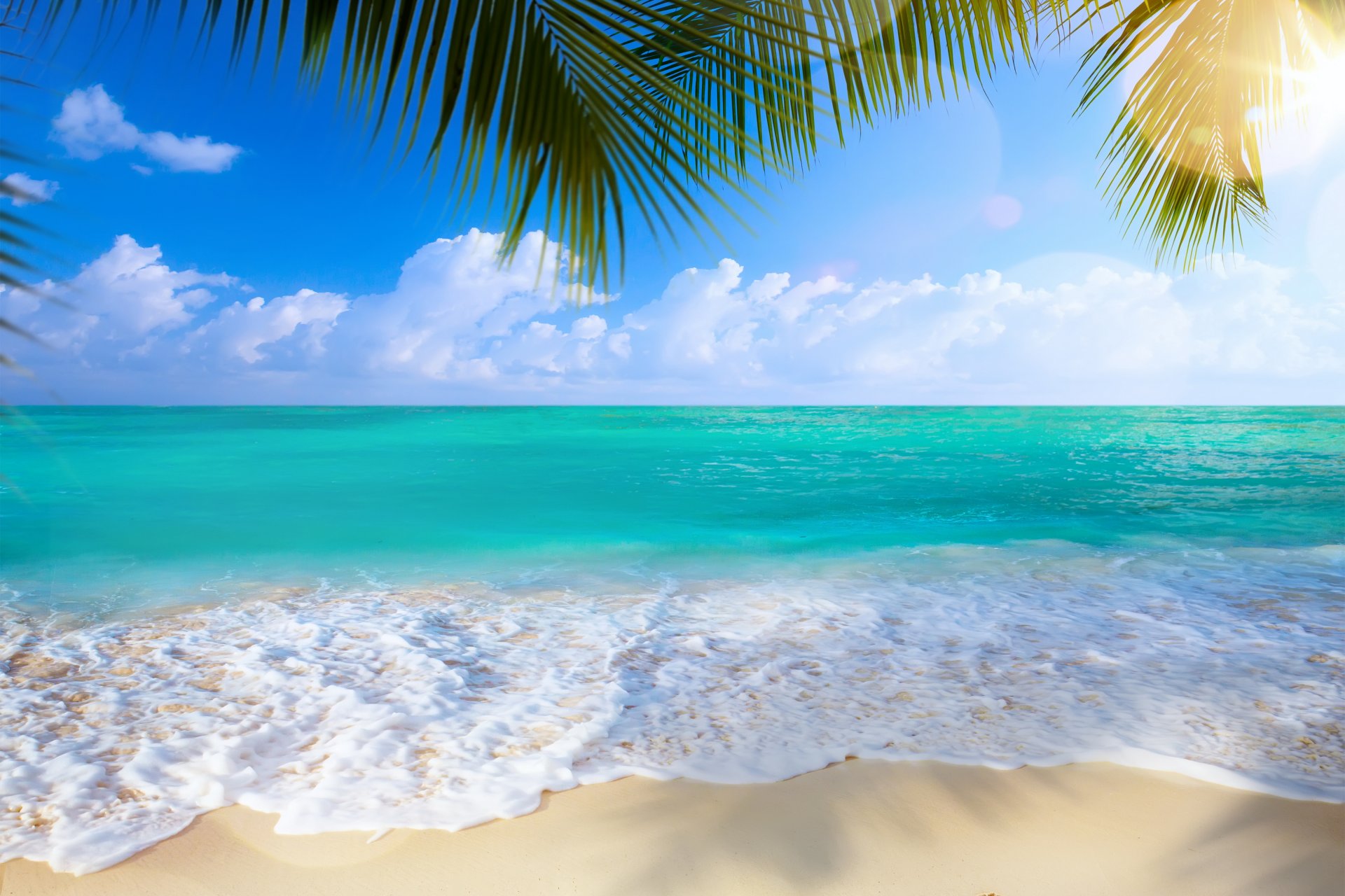 ummer beach sea shore paradise tropical sand palm tree