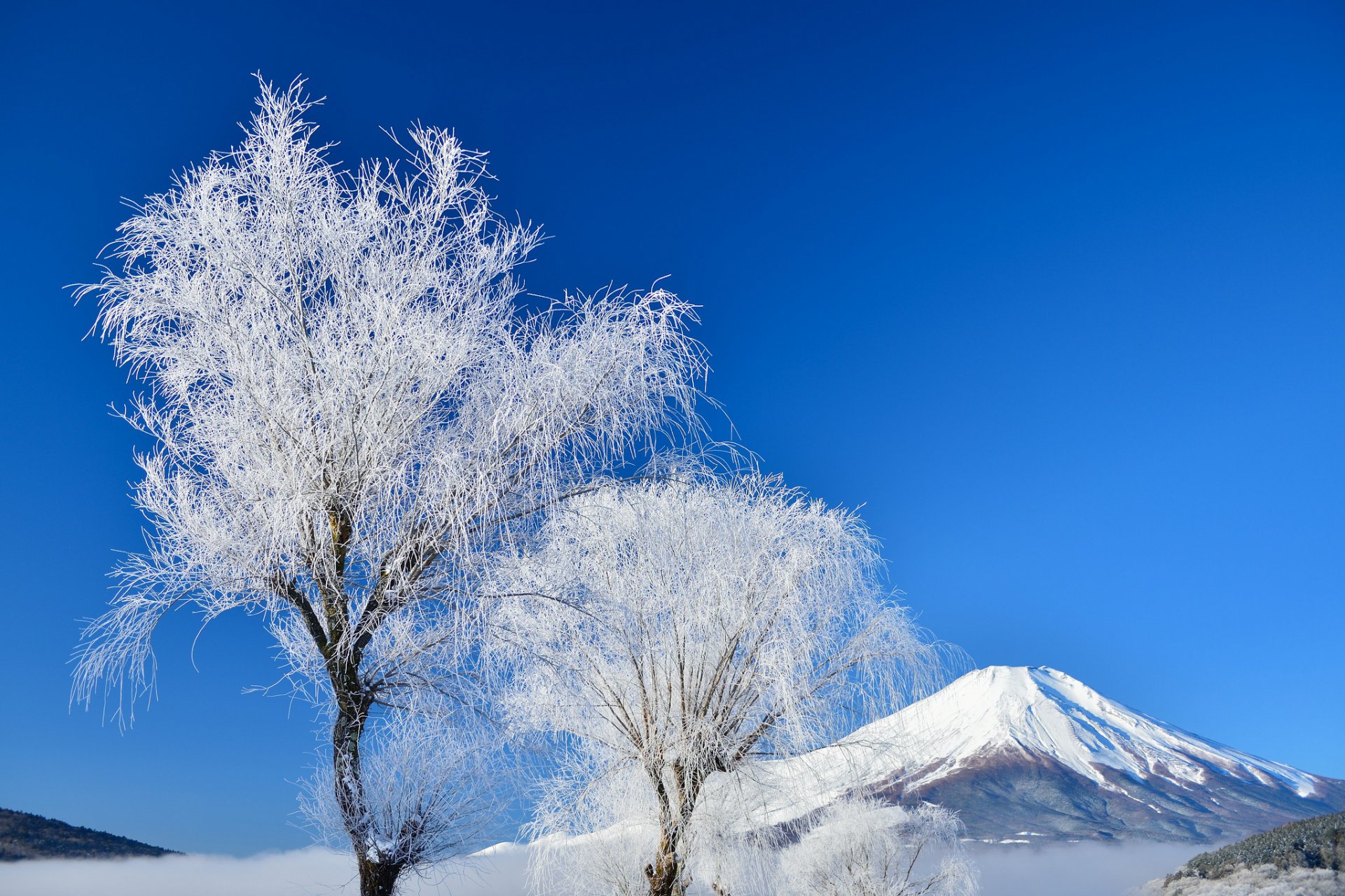 giappone monte fujiyama cielo inverno alberi neve