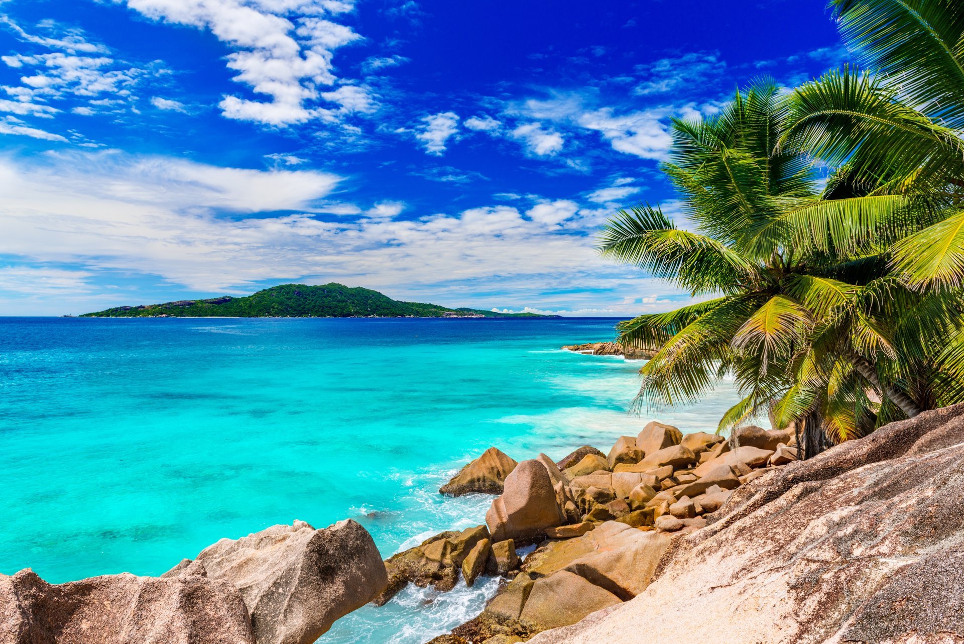 été plage mer côte paradis tropical sable palmiers