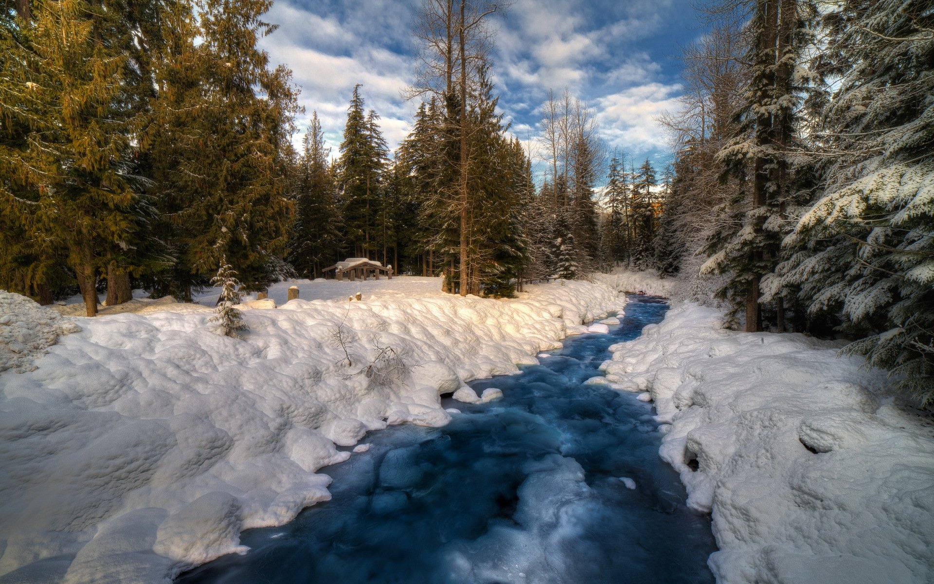 invierno río bosque nieve naturaleza