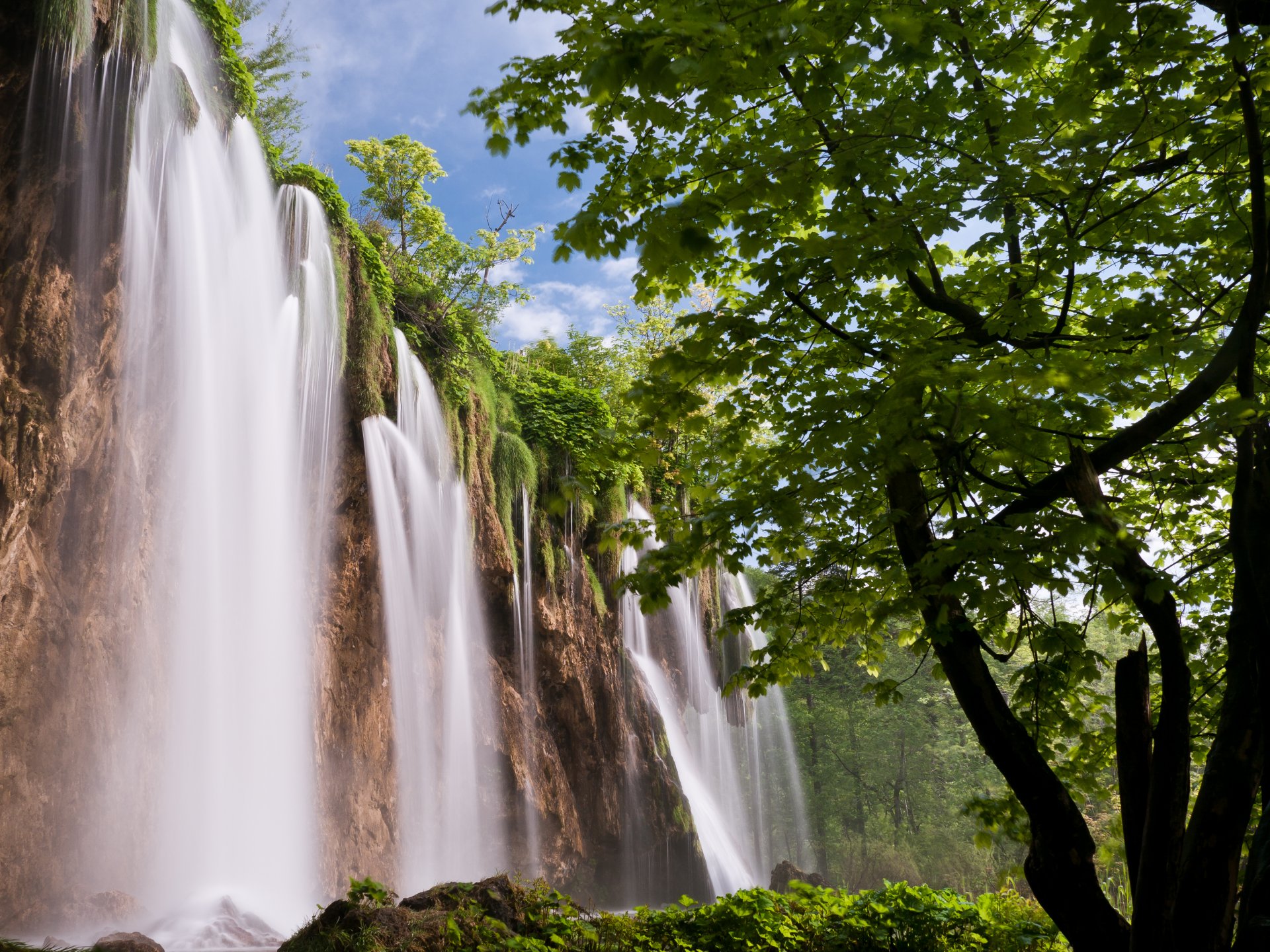 natura cascata cascata foresta