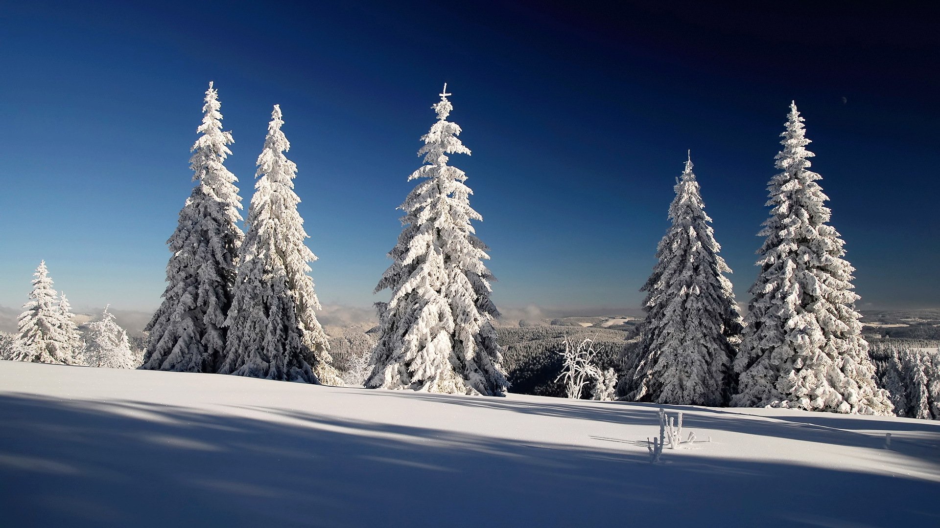 hiver neige ciel ombre