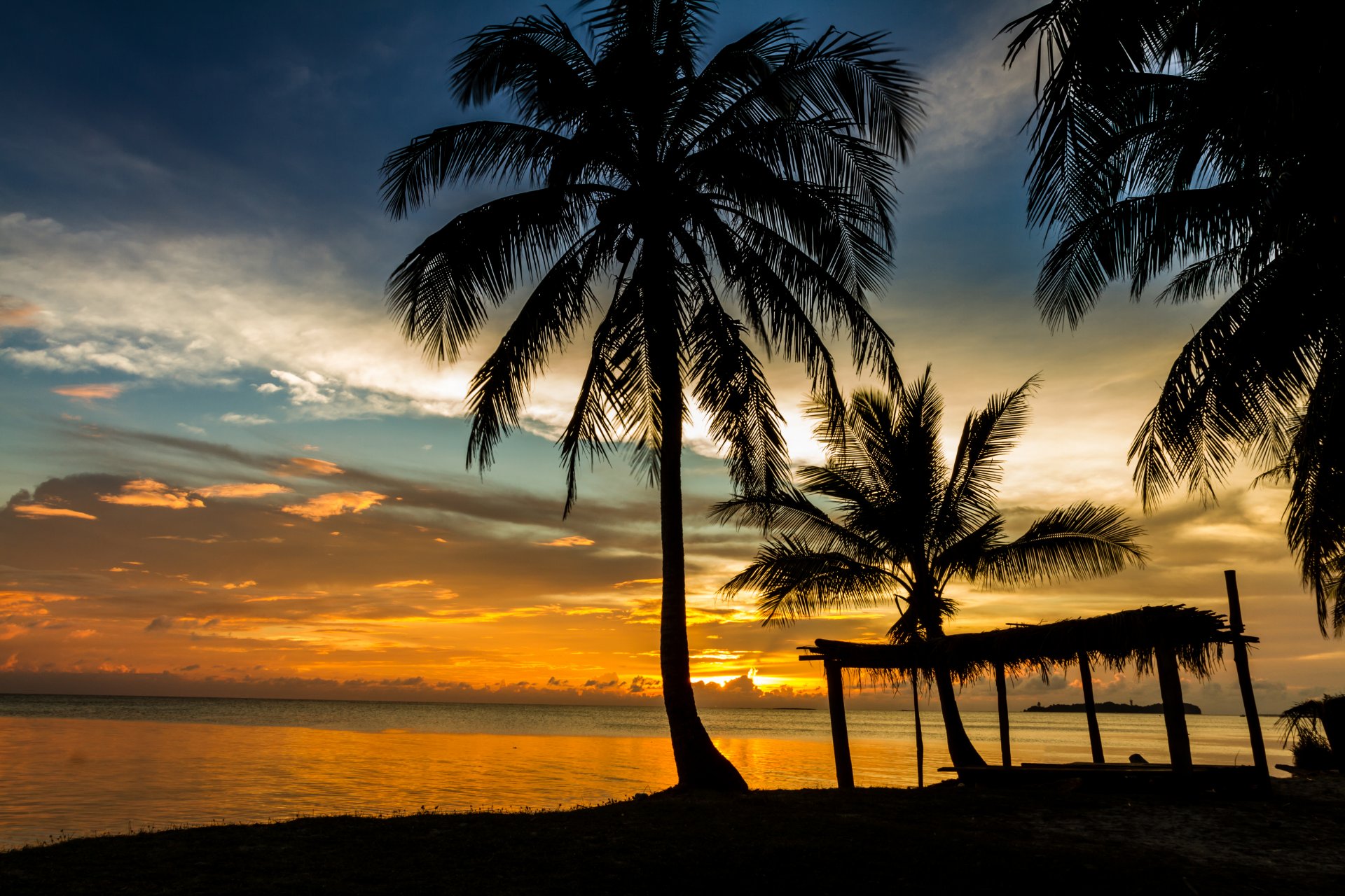 plage mer été coucher de soleil côte palmier