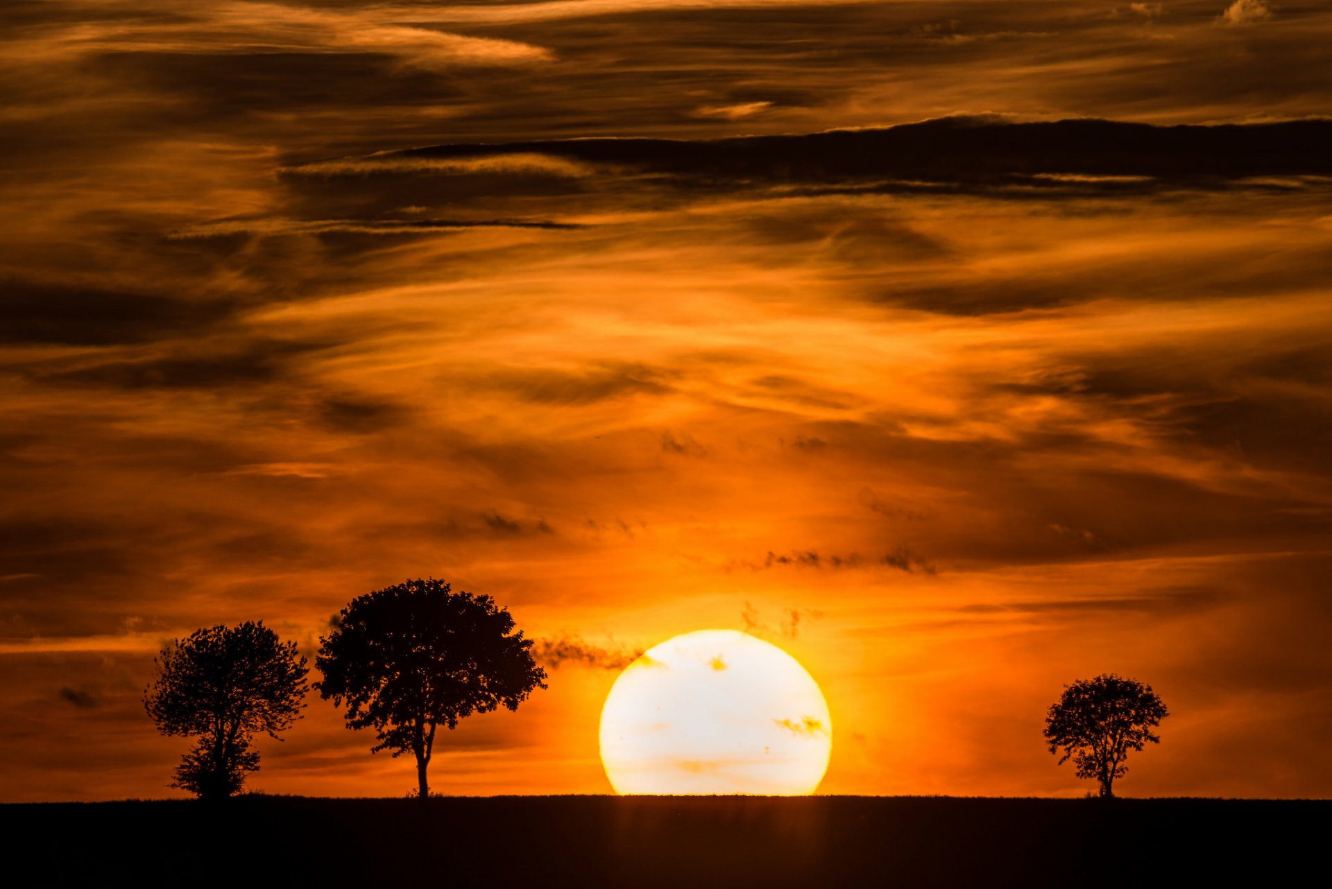 ciel nuages soleil coucher de soleil arbres silhouette