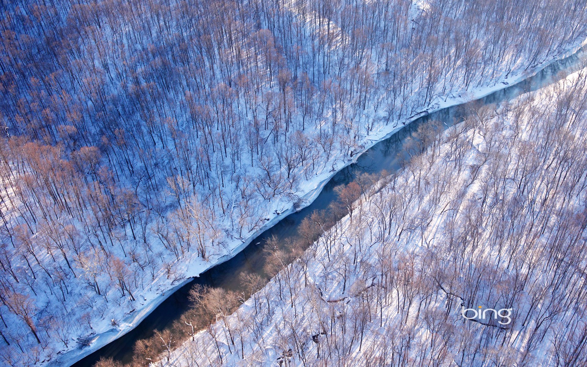 virginia stati uniti foresta inverno fiume neve