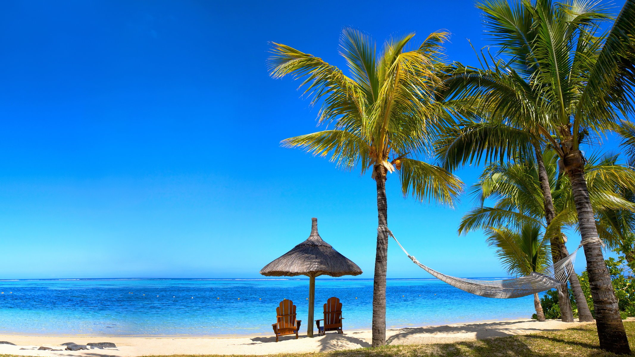 ummer beach sea shore paradise tropical sand palm tree