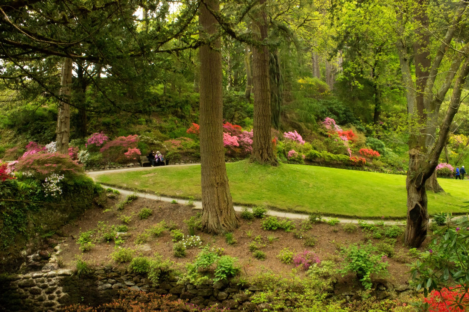 regno unito parco giardini bodnant galles erba cespugli alberi verde panchina